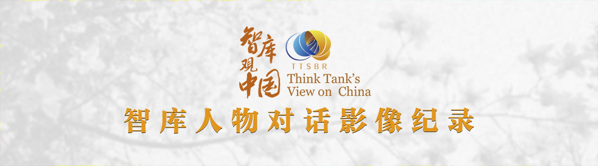 智库观中国创新发展工程